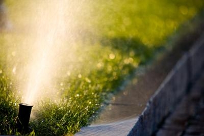 Sun Lakes sprinkler head could use a tune-up